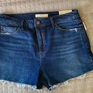 NWT Size 31 Unpublished Emma Jean shorts High waist mom fit vintage cut